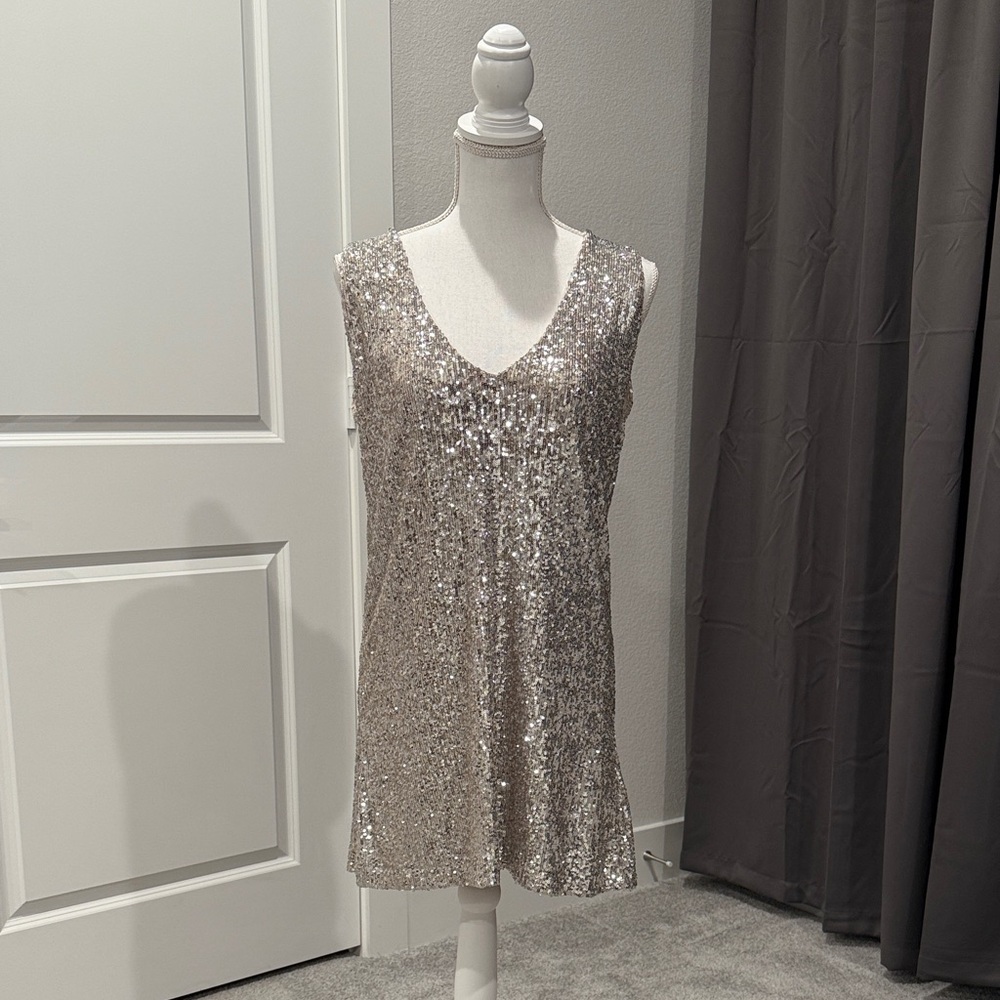 BB Dakota Silver Sequin Mini Dress
